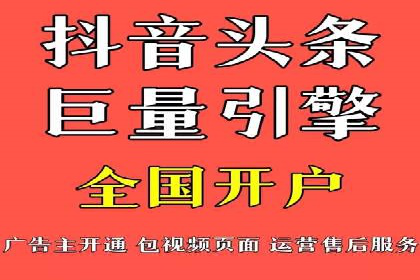 谷歌竞价广告与SEO结合的营销案例解析